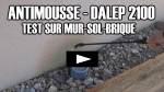 test du dalep 2100 antimousse professionnel hydrofuge sur mur sol et brique